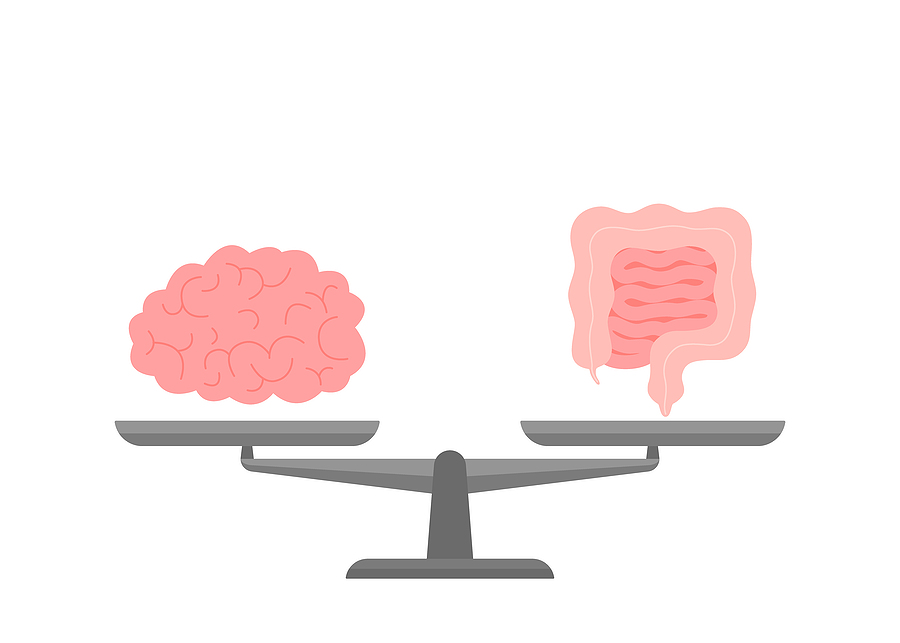 gut brain audit